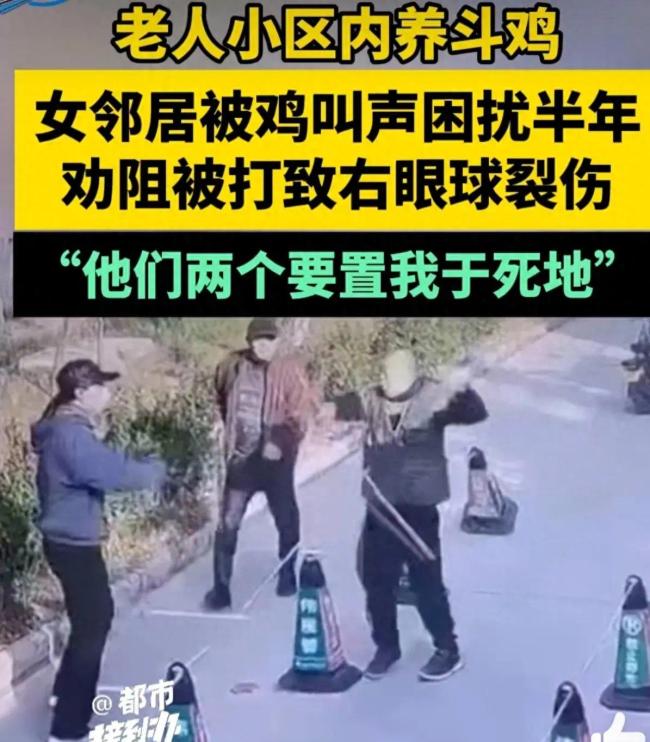 老人小区养斗鸡引发邻居劝阻冲突，导致眼球裂伤：当地警方回应情况