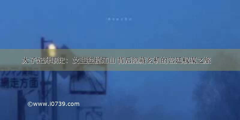 太子妃升职记：女主独揽江山 背后隐藏玄机的宫廷权谋之旅