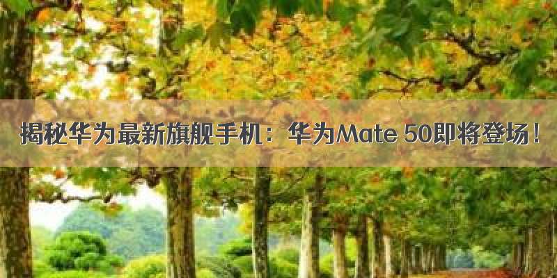 揭秘华为最新旗舰手机：华为Mate 50即将登场！