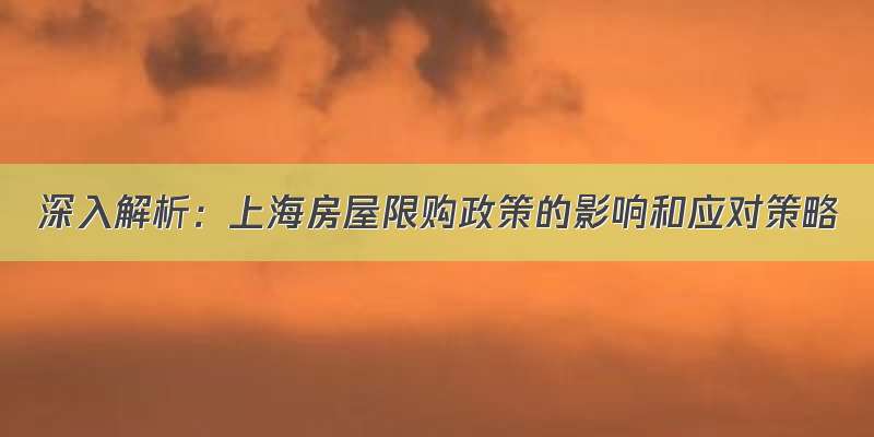 深入解析：上海房屋限购政策的影响和应对策略