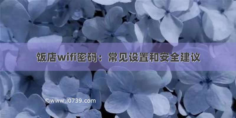 饭店wifi密码：常见设置和安全建议