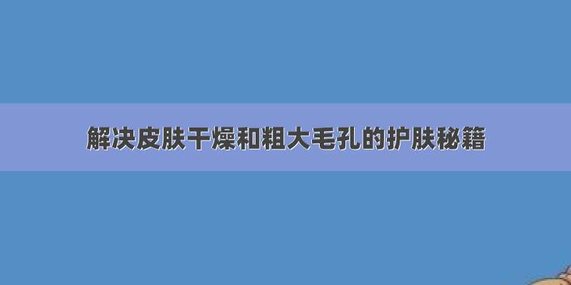 解决皮肤干燥和粗大毛孔的护肤秘籍