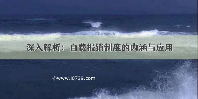 深入解析：自费报销制度的内涵与应用