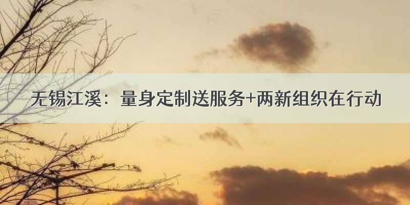 无锡江溪：量身定制送服务+两新组织在行动