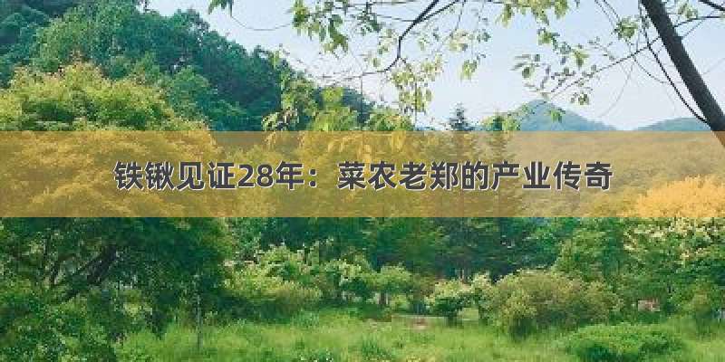 铁锹见证28年：菜农老郑的产业传奇