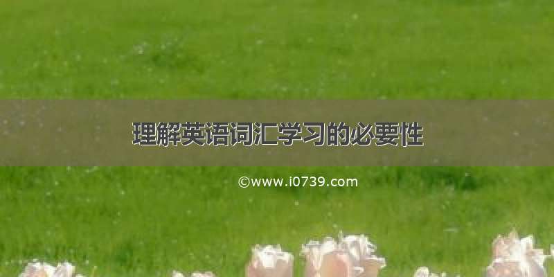 理解英语词汇学习的必要性