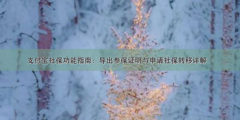 支付宝社保功能指南：导出参保证明与申请社保转移详解