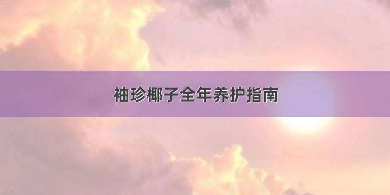 袖珍椰子全年养护指南