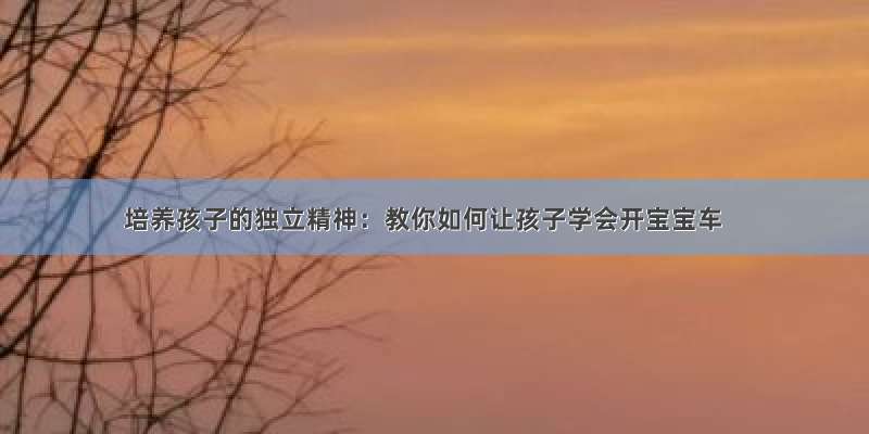 培养孩子的独立精神：教你如何让孩子学会开宝宝车