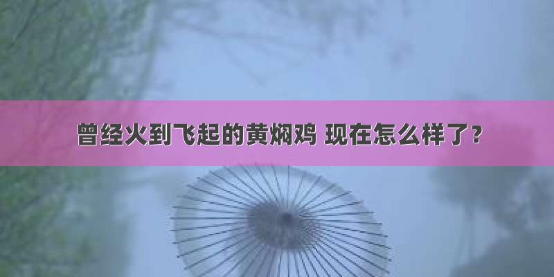 曾经火到飞起的黄焖鸡 现在怎么样了？