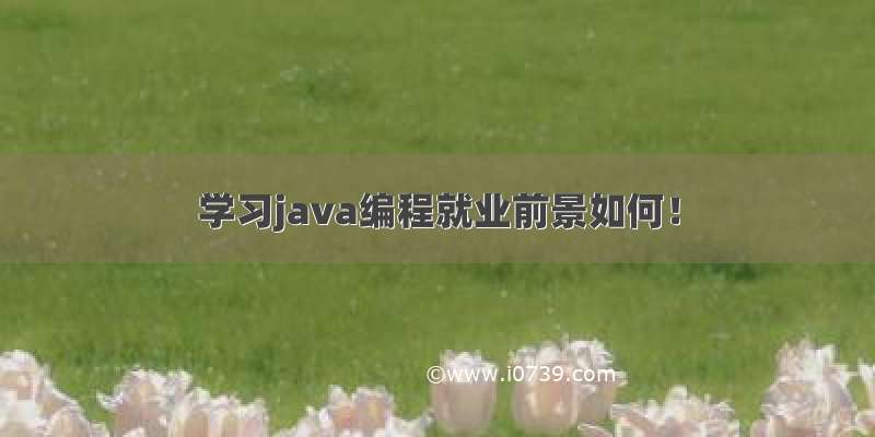 学习java编程就业前景如何！