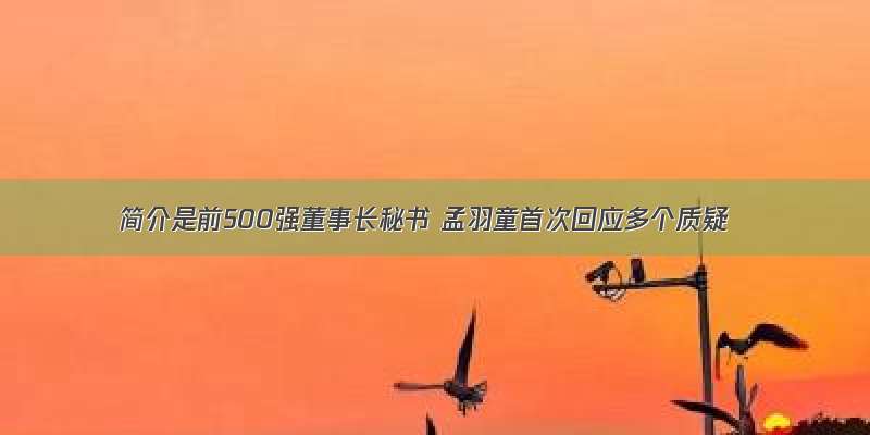 简介是前500强董事长秘书 孟羽童首次回应多个质疑