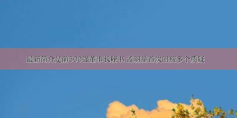 最新简介是前500强董事长秘书 孟羽童首次回应多个质疑