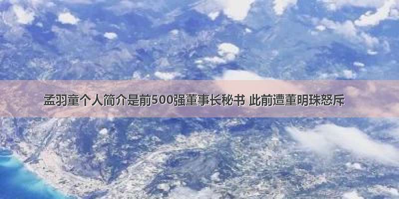 孟羽童个人简介是前500强董事长秘书 此前遭董明珠怒斥