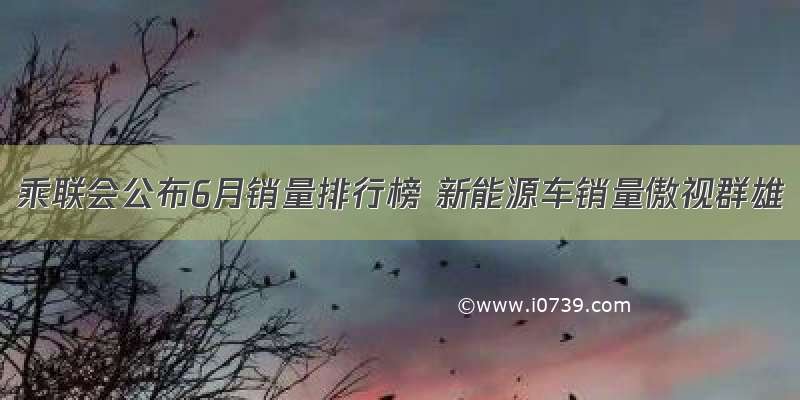 乘联会公布6月销量排行榜 新能源车销量傲视群雄