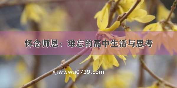 怀念师恩：难忘的高中生活与思考