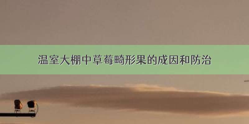 温室大棚中草莓畸形果的成因和防治