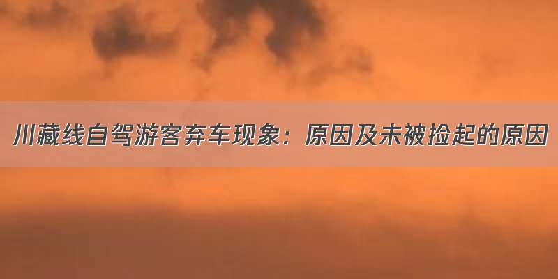 川藏线自驾游客弃车现象：原因及未被捡起的原因