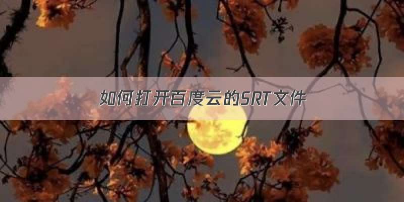 如何打开百度云的SRT文件