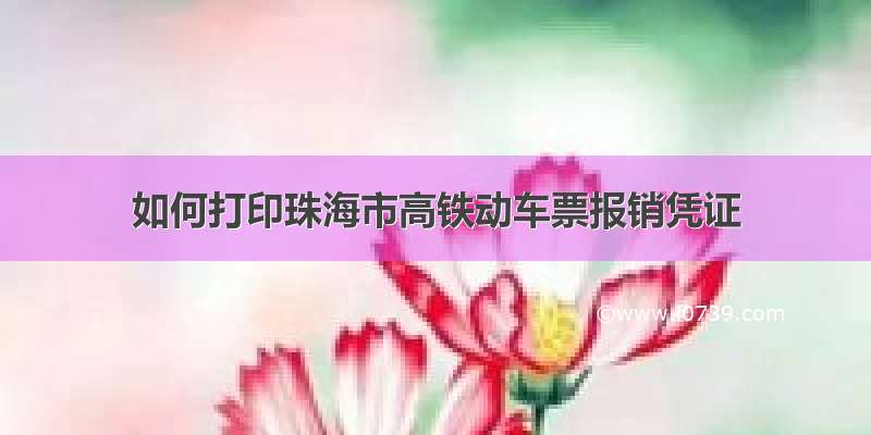 如何打印珠海市高铁动车票报销凭证