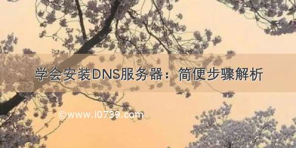 学会安装DNS服务器：简便步骤解析