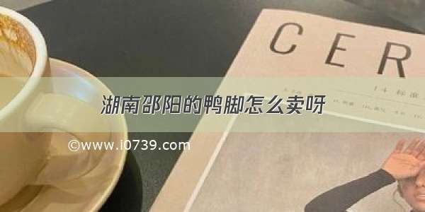 湖南邵阳的鸭脚怎么卖呀