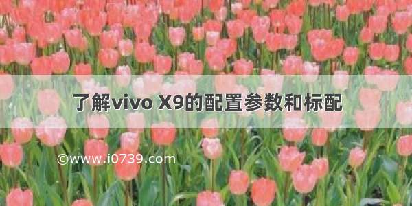 了解vivo X9的配置参数和标配