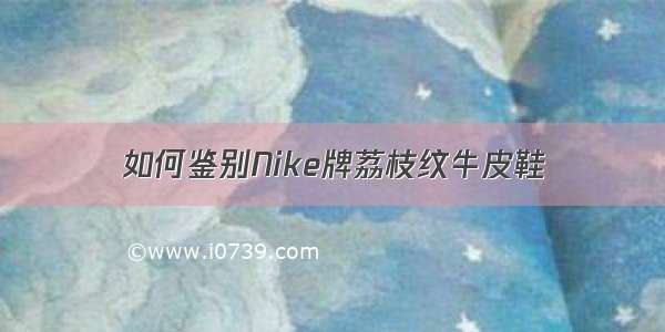 如何鉴别Nike牌荔枝纹牛皮鞋