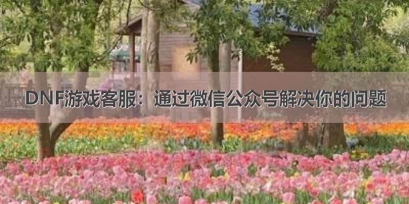 DNF游戏客服：通过微信公众号解决你的问题