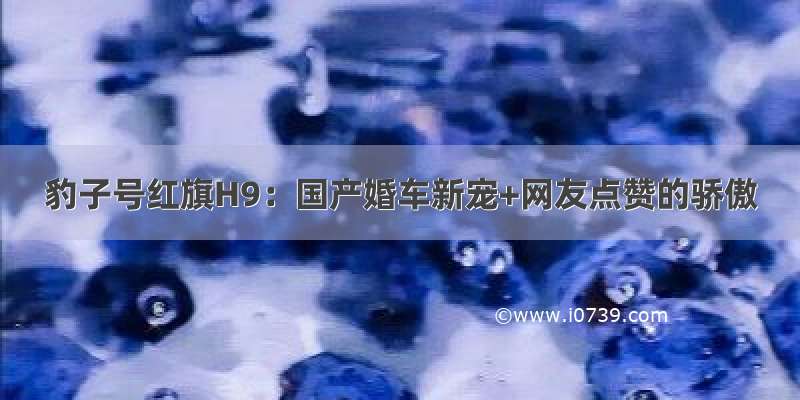 豹子号红旗H9：国产婚车新宠+网友点赞的骄傲