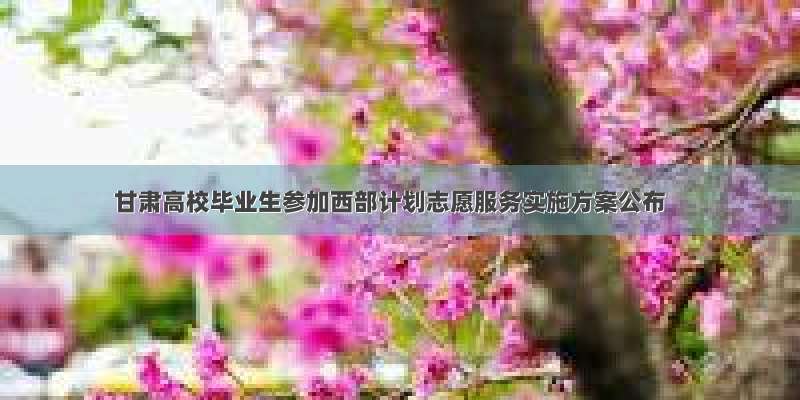 甘肃高校毕业生参加西部计划志愿服务实施方案公布