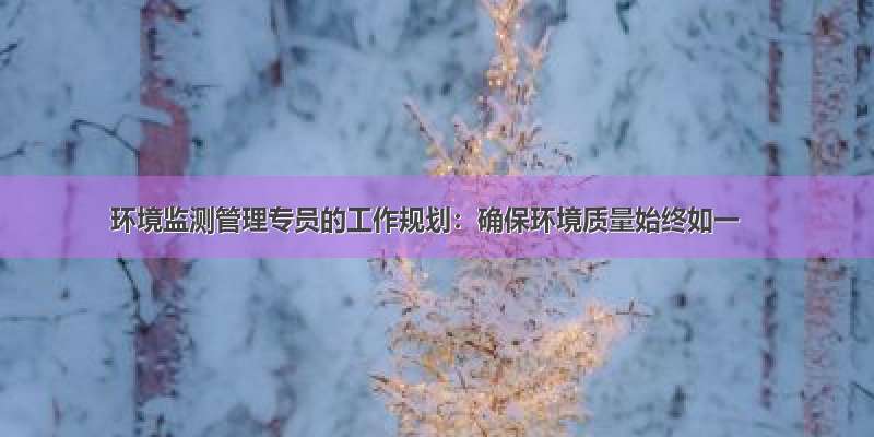 环境监测管理专员的工作规划：确保环境质量始终如一