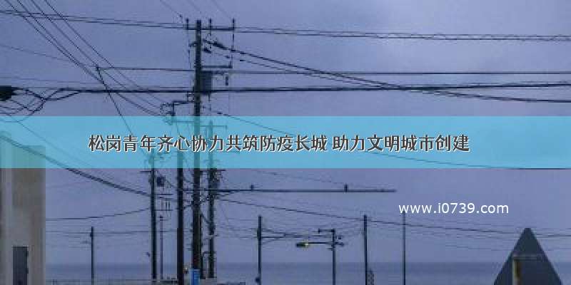 松岗青年齐心协力共筑防疫长城 助力文明城市创建